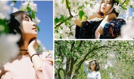 风中的花瓣在线观看,浪漫邂逅，命运交织的青春旋律